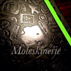 slooProImg_20130527205031.jpg