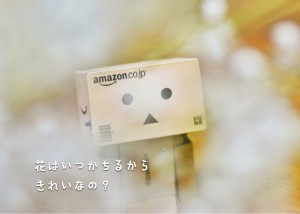 slooProImg_20130726231228.jpg