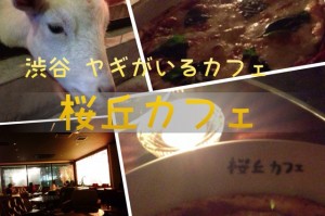 wpid-20130916094836.jpg