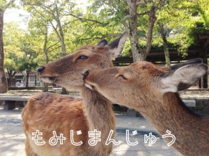 wpid-20130926115509.jpg