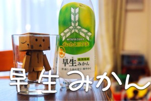 slooProImg_20131214152328.jpg