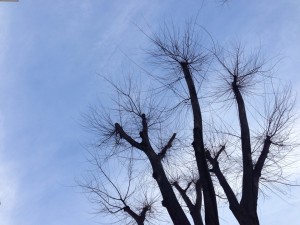 slooProImg_20140104074711.jpg