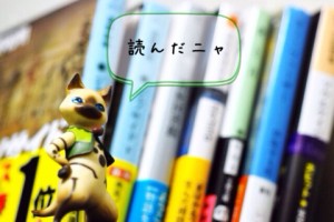 slooProImg_20140204071650.jpg